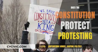 Protesting and the Constitution: What Are Your Rights?