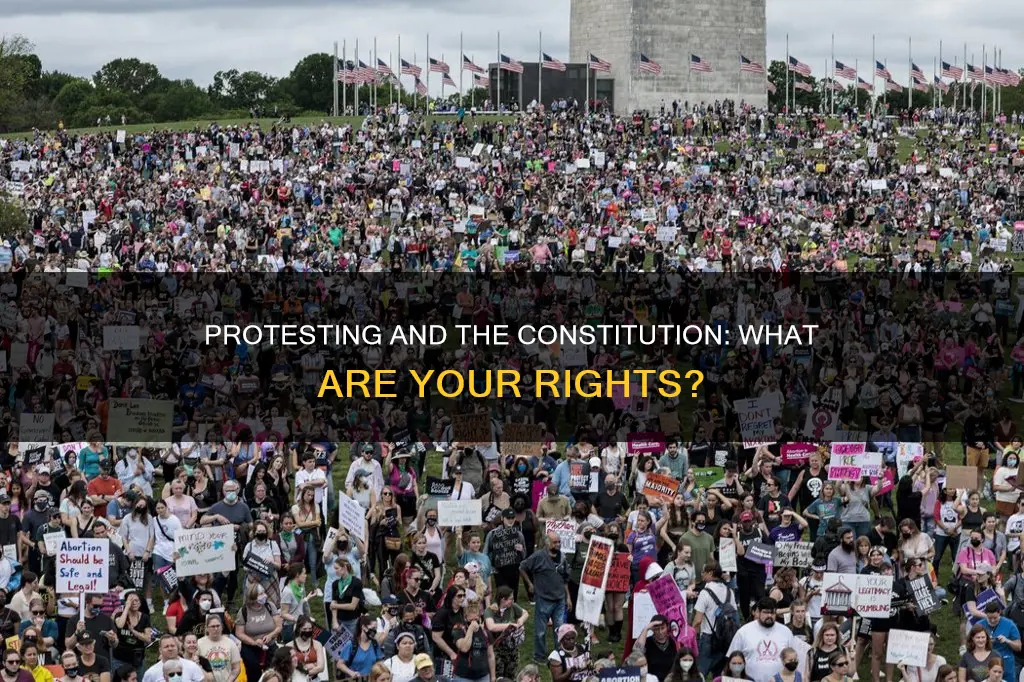 does the constitution protect protesting