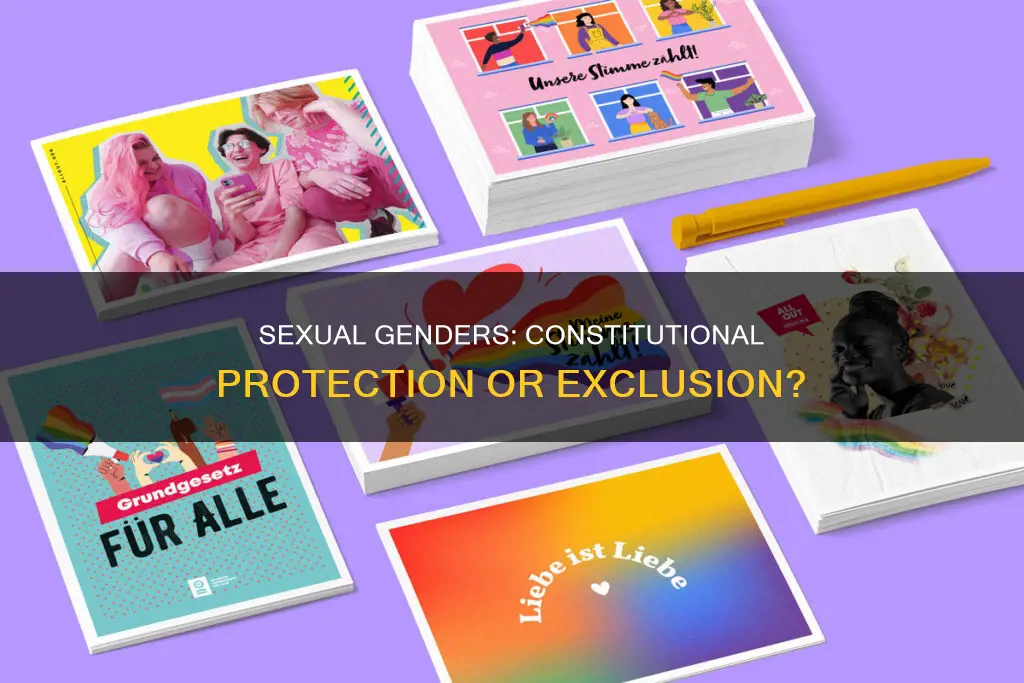 does the constitution protect sexual genders