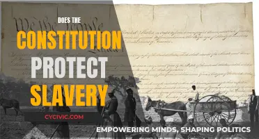 The Constitution's Complicity in Slavery: A Historical Inquiry