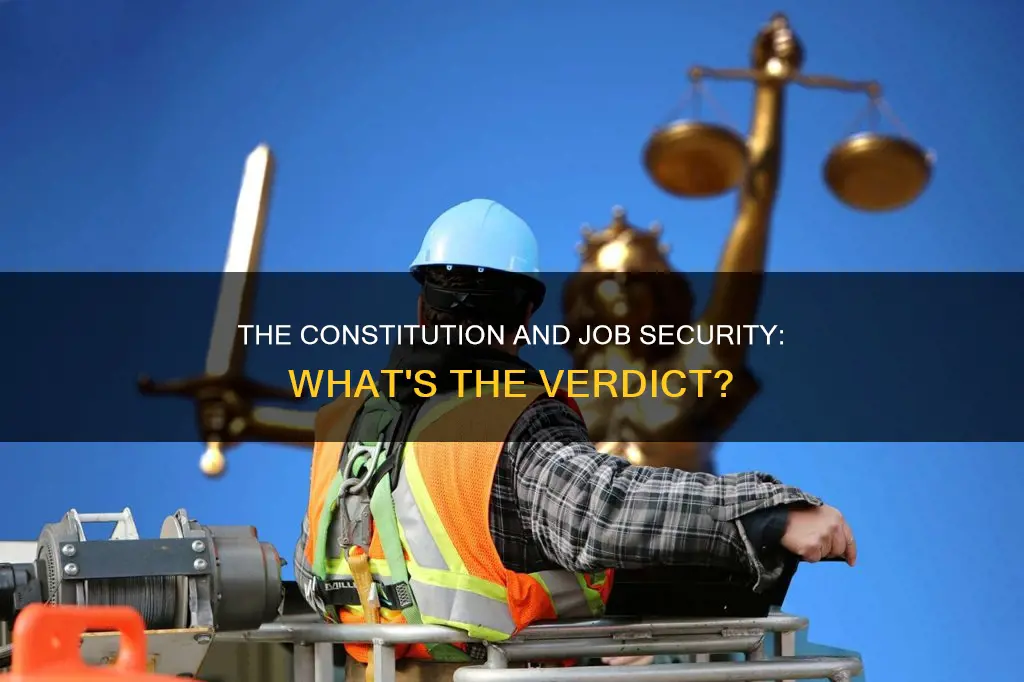 does the constitution protect someone performing a job