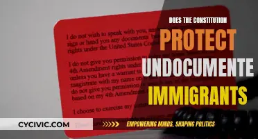 Undocumented Immigrants: Rights and Constitutional Protections?