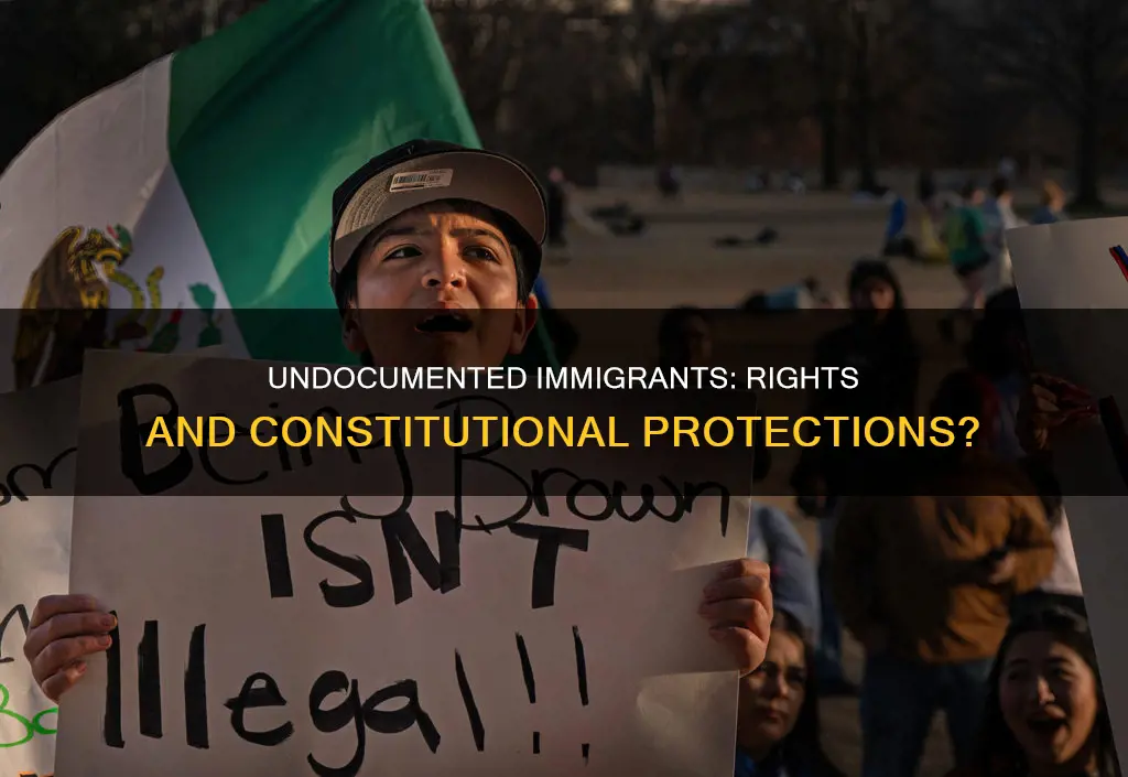 does the constitution protect undocumented immigrants