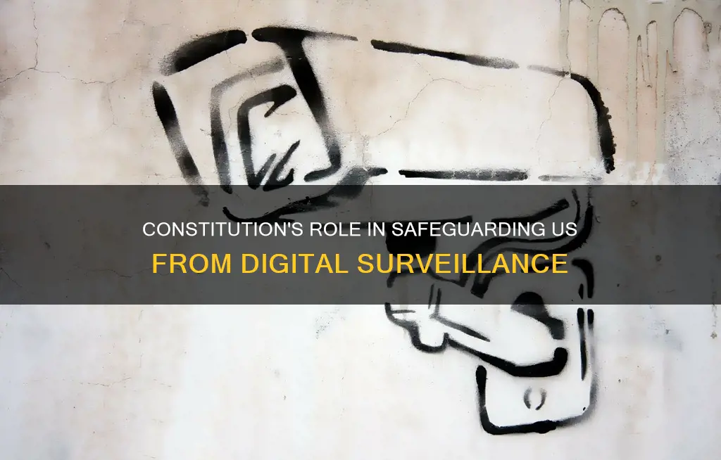 does the constitution protect us from computer and network serveillence