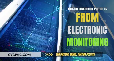 The Constitution and Electronic Monitoring: Our Rights and Protections