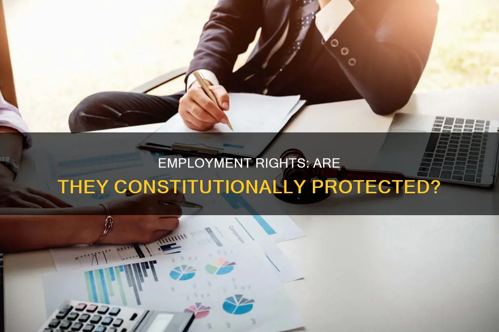 does the constitution protect your rite to be employed