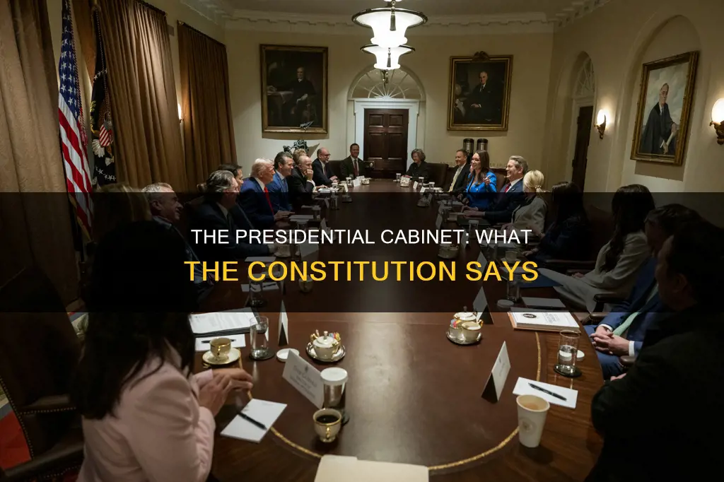 does the constitution provide for a presidential cabinet