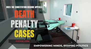 Capital Punishment Appeals: A Constitutional Right?