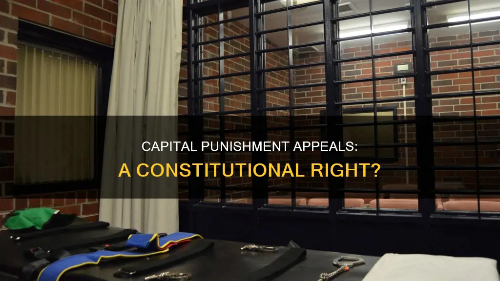 does the constitution require appeals death penalty cases