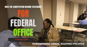 Citizenship Clause: Federal Office and the Constitution