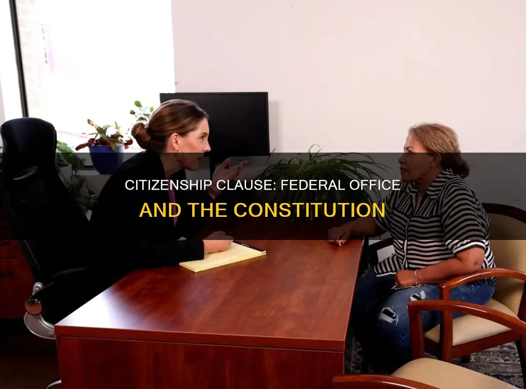 does the constitution require citizenship for federal office