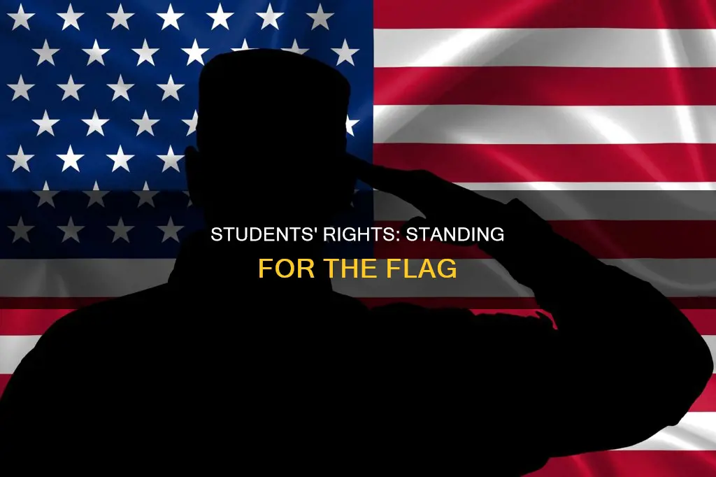does the constitution require students to stand salute flag