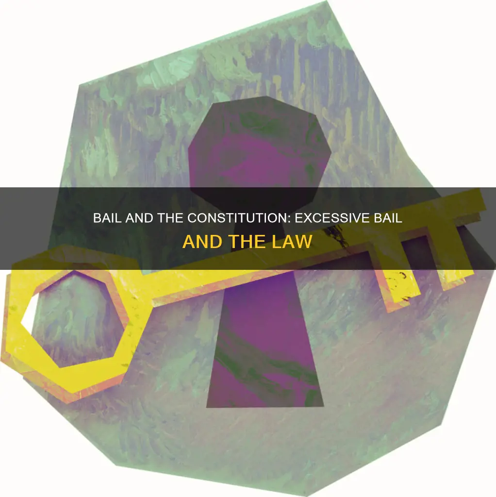 does the constitution require that excessive bail be set