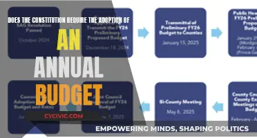 The Constitution and Annual Budgeting: A Requirement?