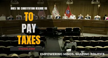The Constitution and Taxes: What's the Connection?