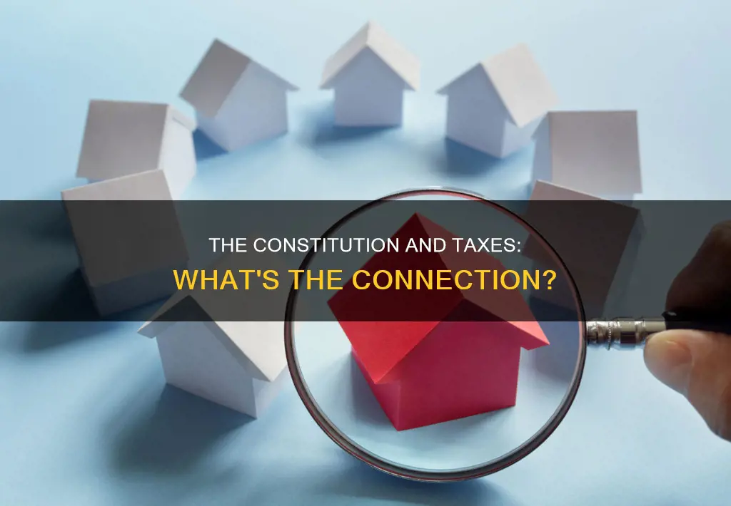 does the constitution require us to pay taxes