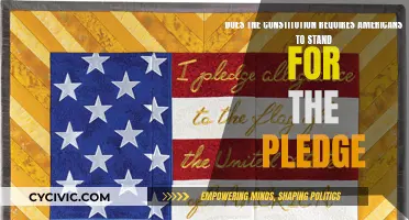 The Pledge: Standing Up for the Constitution
