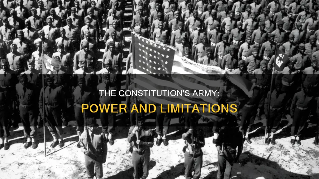 does the constitution restrict the ability to establish an army