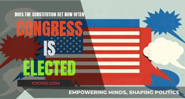How Congress is Elected: Constitutional Insights