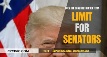 Term Limits for Senators: What the Constitution Says