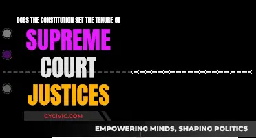 Supreme Court Justices: Term Limits or Life Tenure?