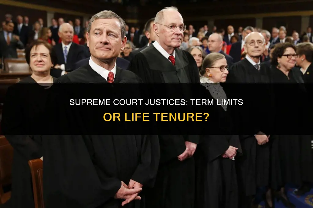 does the constitution set the tenure of supreme court justices