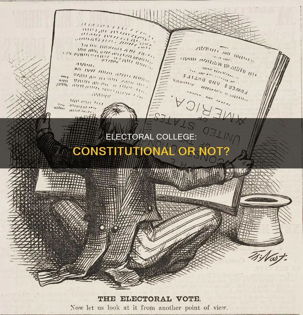 does the constitution set up the electoral college