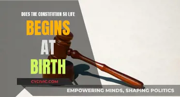 Life and the Constitution: Birth and Beyond