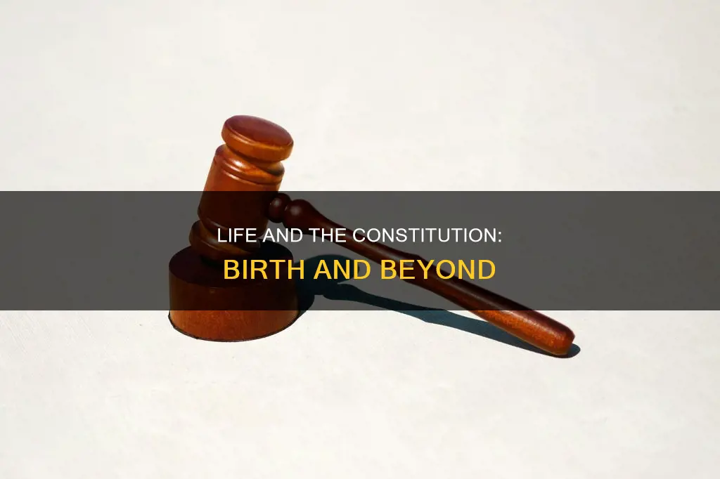 does the constitution so life begins at birth