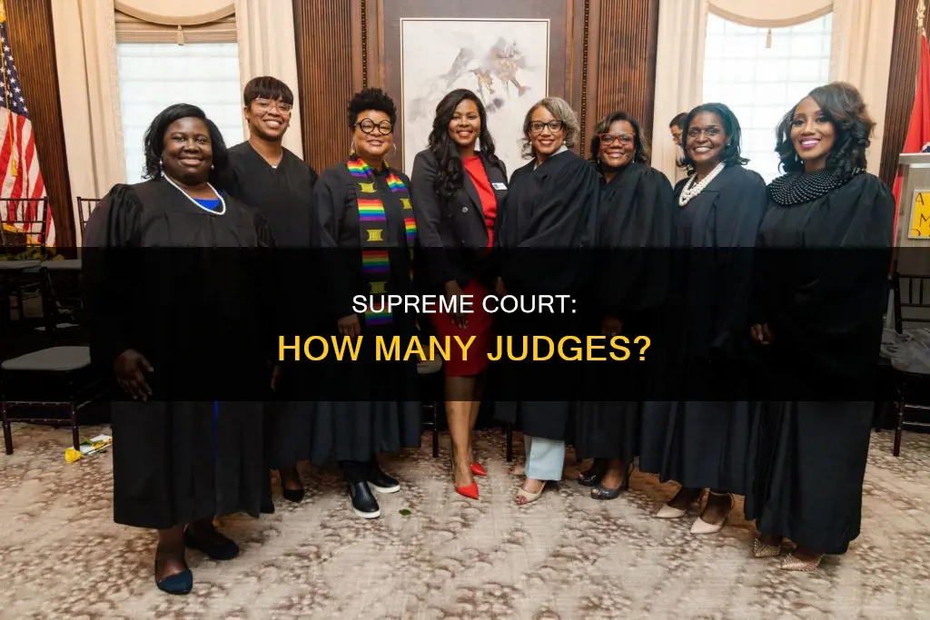 does the constitution specify a number of judges