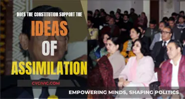 Constitution and Assimilation: A Complex Relationship