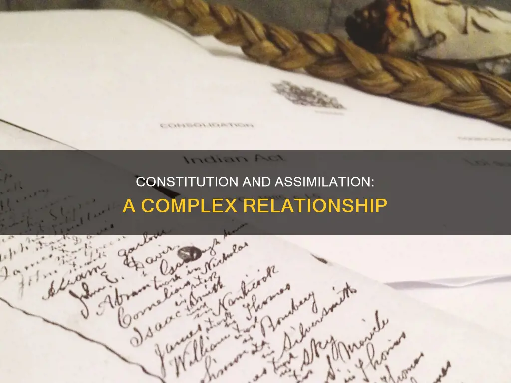 does the constitution support the ideas of assimilation