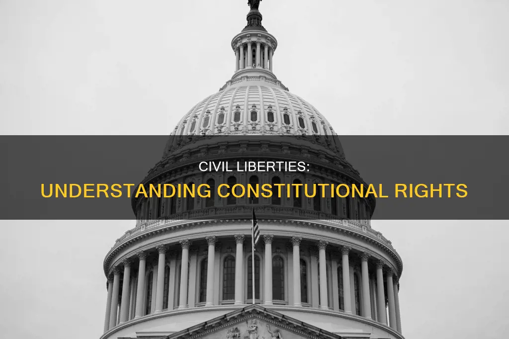 does the constitution tell us about civil liberties