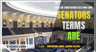 Senators' Terms: What the Constitution Says