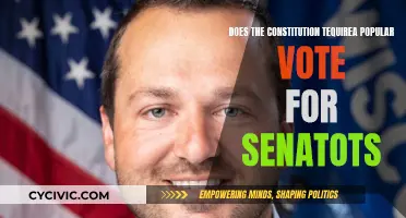 The Senate: Popular Vote or Not?