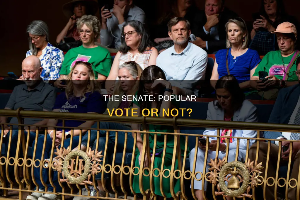 does the constitution tequirea popular vote for senatots