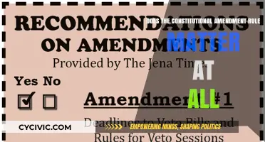 Amending the Constitution: Does It Matter?