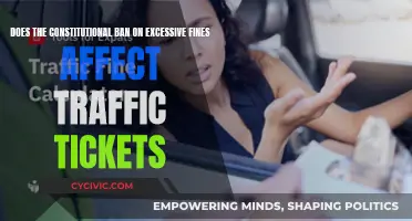 Traffic Tickets and the Eighth Amendment: What's the Limit?