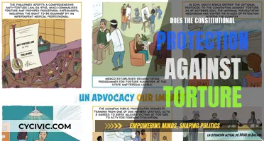Torture and the Constitution: What Protections Exist?