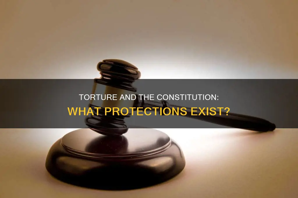 does the constitutional protection against torture