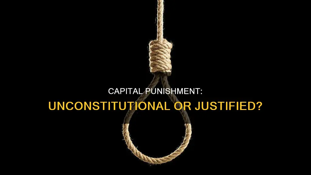 does the death penalty go against the constitution