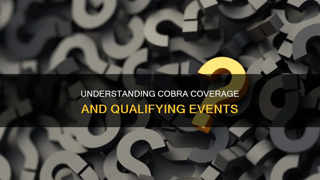 does the end of cobra coverage constitute a qualifying event