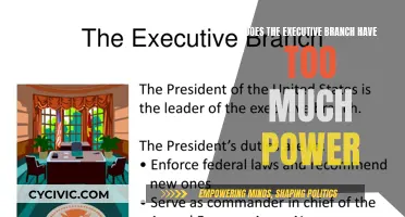 Executive Power: Is the Balance of Powers Unbalanced?