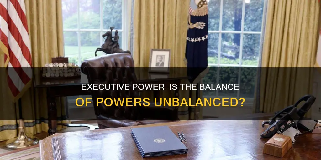 does the executive branch have too much power