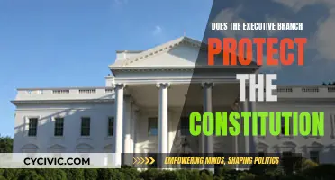 The Executive Branch: Upholding or Undermining the Constitution?