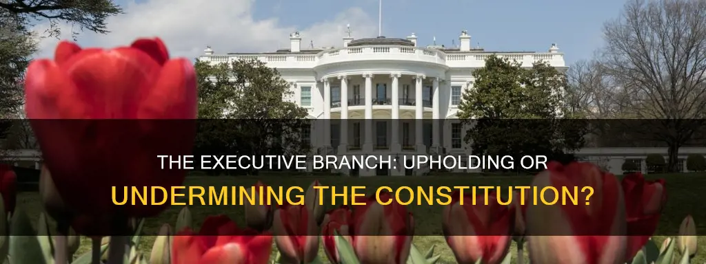 does the executive branch protect the constitution