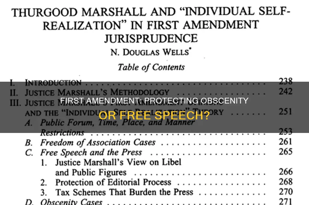 does the first amendment protect obscenity national constitution