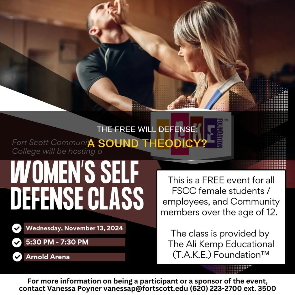 does the free-will defense constitute a sound theodicy