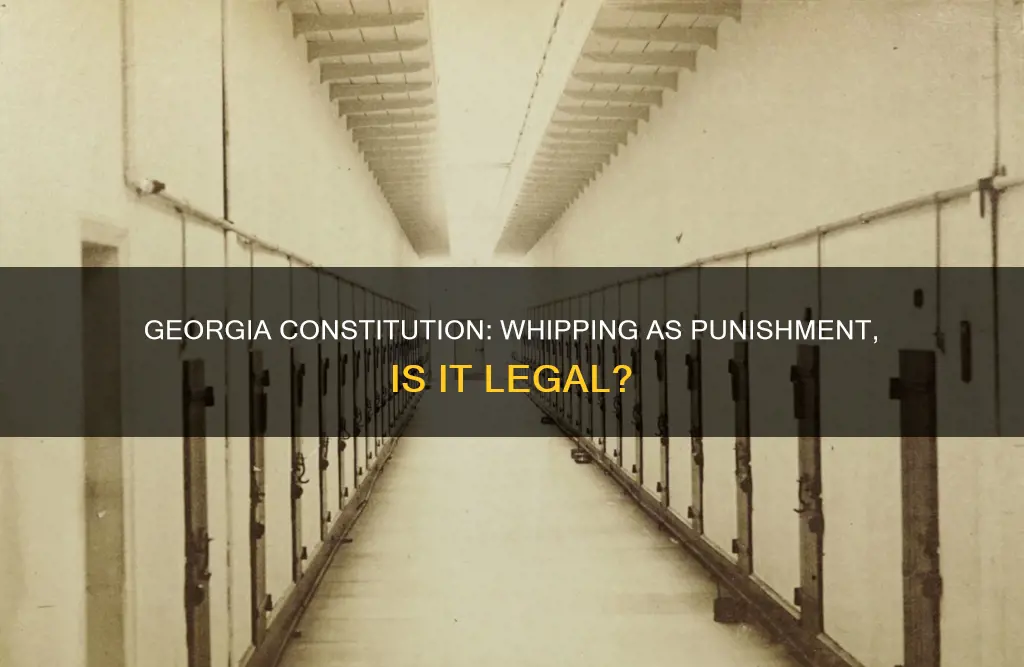 does the ga constitution permit whipping as punishment