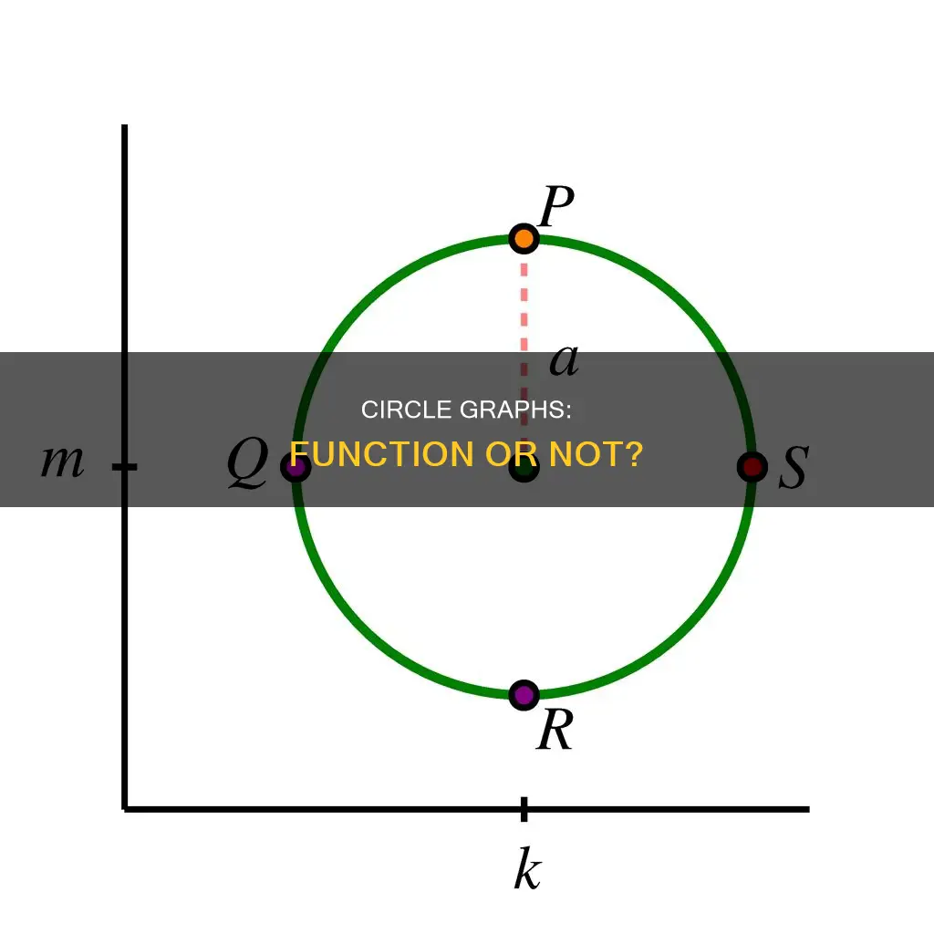does the graph of a circle constitute a function